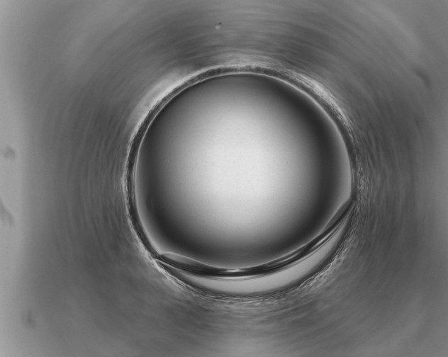 X0000091090943200708061634