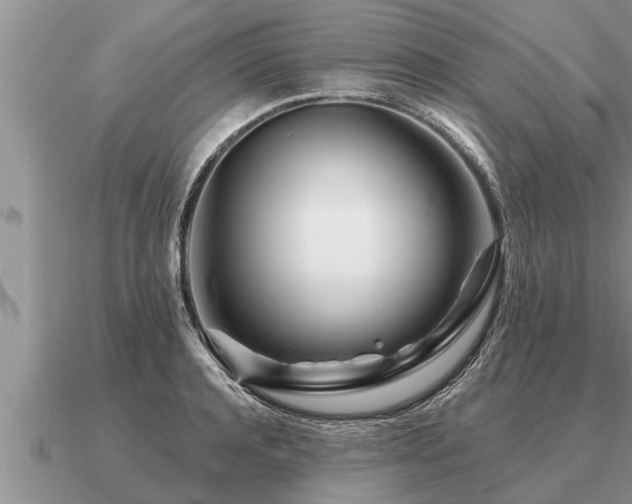 X0000091090944200708061634