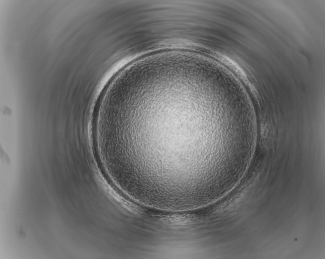 X0000091090947200708061634