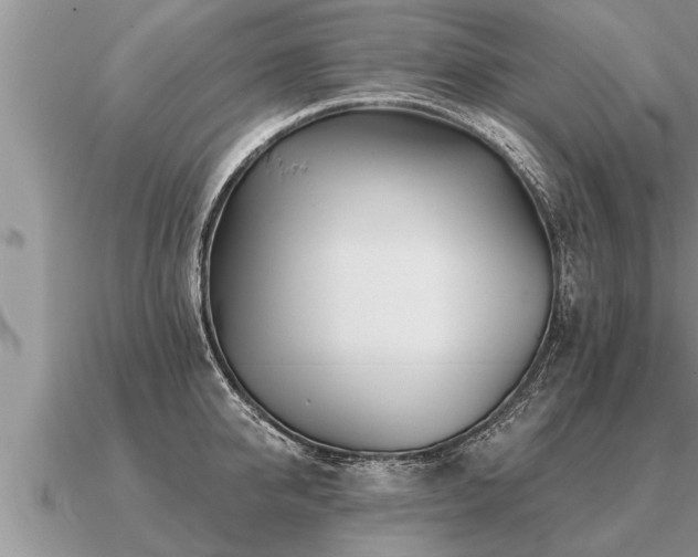 X0000091090950200708061634