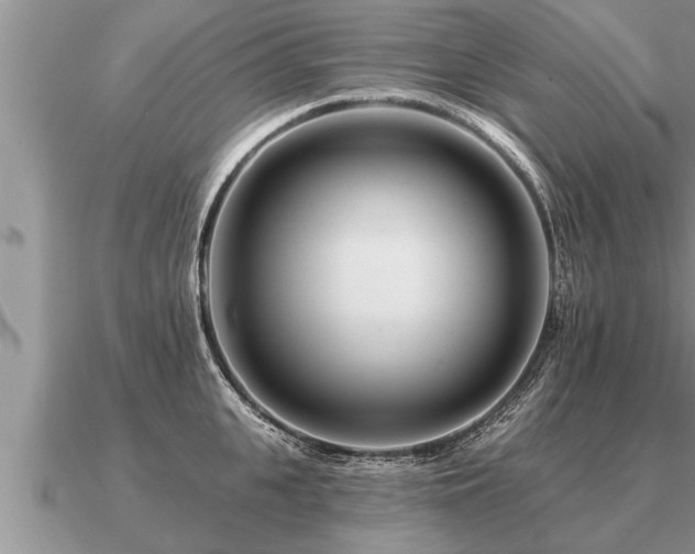 X0000091090951200708061634