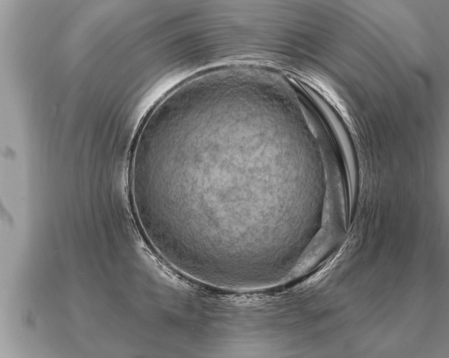 X0000091090952200708061634