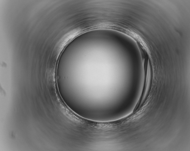 X0000091090954200708061634