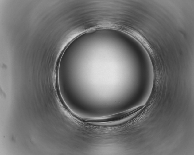 X0000091090955200708061634