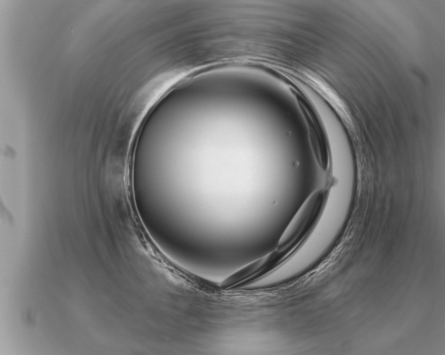 X0000091090956200708061634