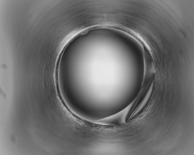 X0000091090959200708061634