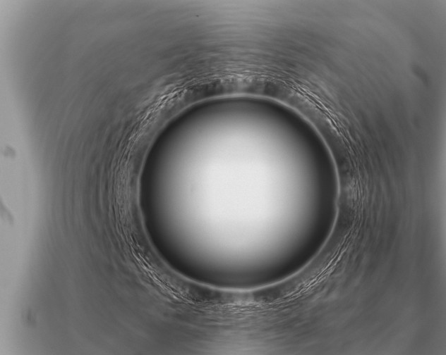 X0000091090961200708061633