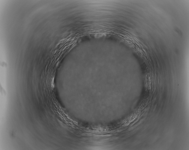 X0000091090962200708061633