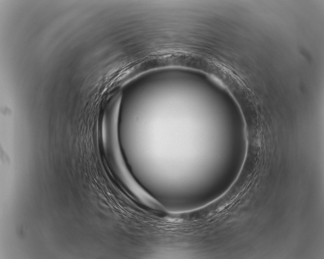 X0000091090965200708061633