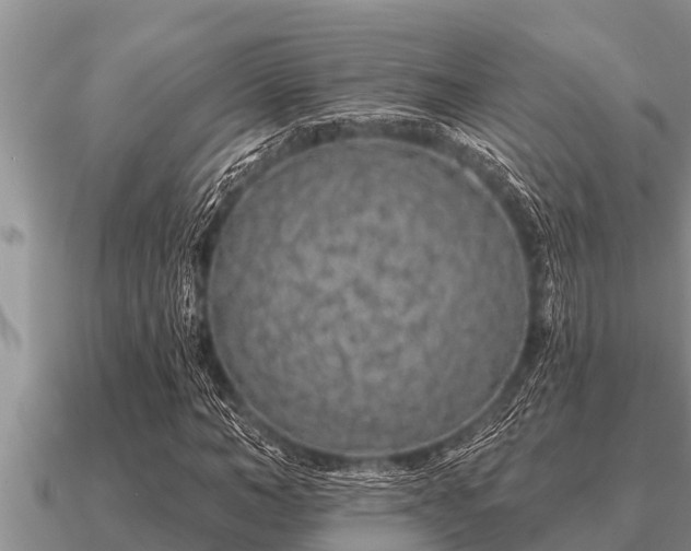 X0000091090966200708061633