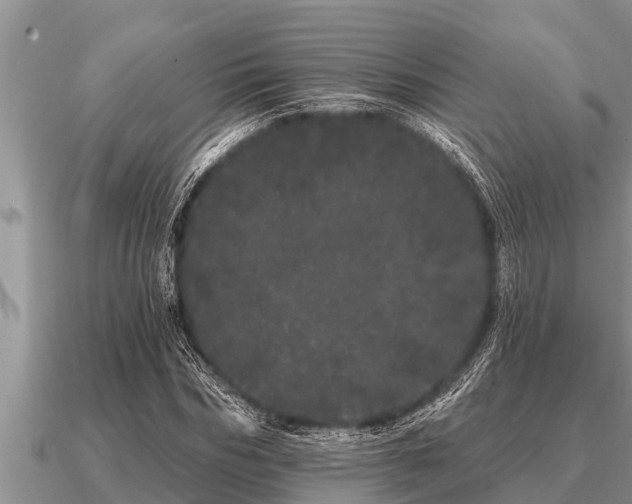 X0000091090970200708061633