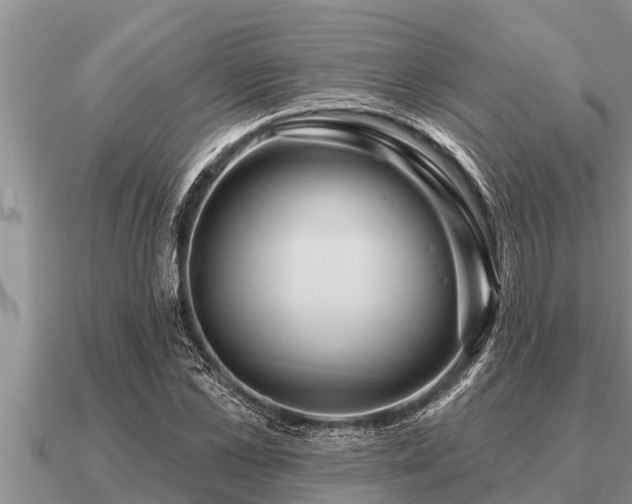 X0000091090973200708061633