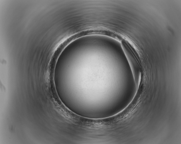 X0000091090975200708061633