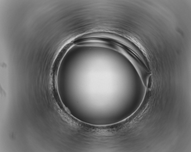 X0000091090976200708061633