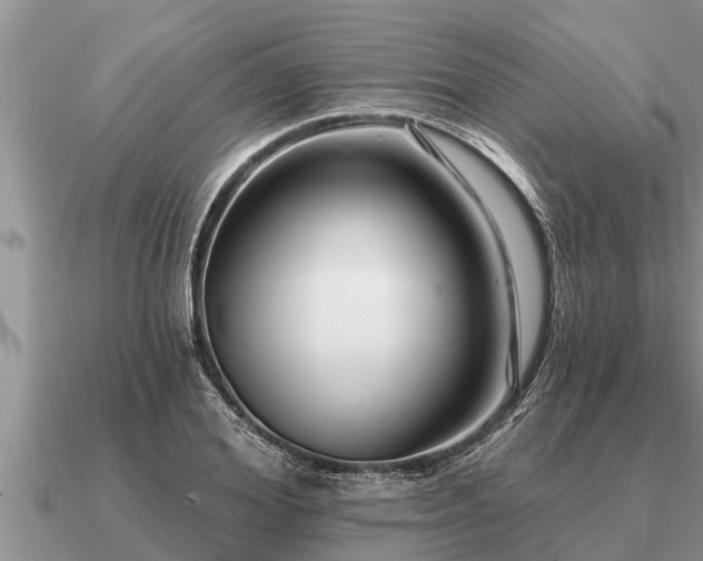 X0000091090980200708061633