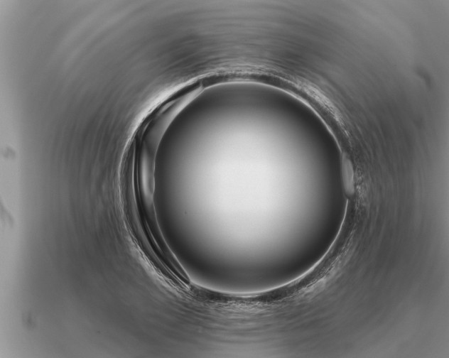 X0000091090981200708061633