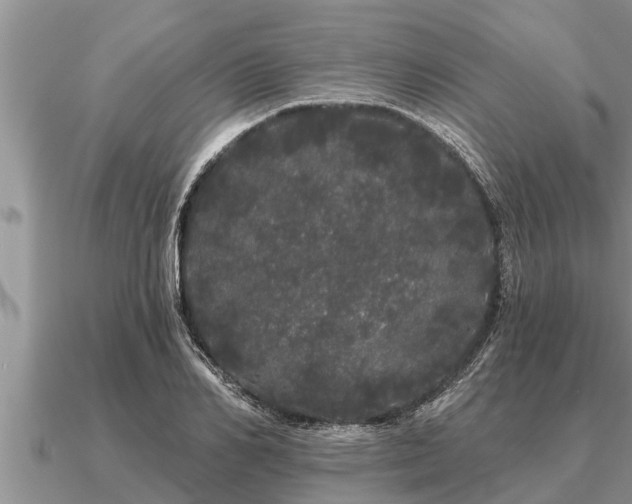X0000091090982200708061633