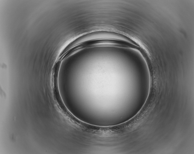 X0000091090983200708061633