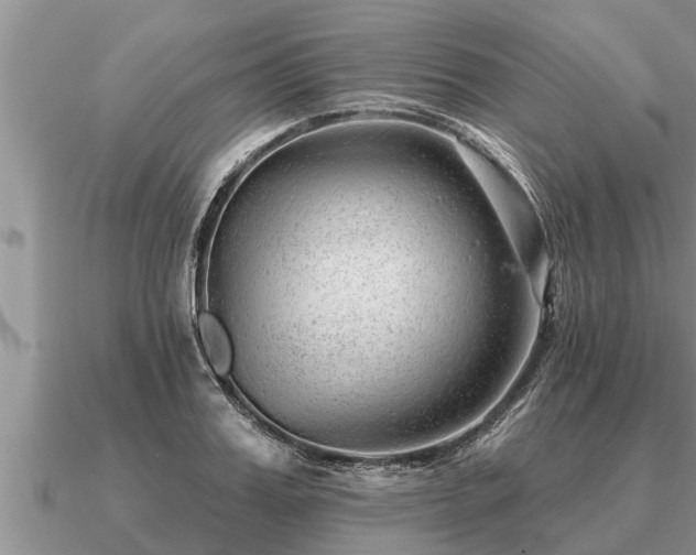 X0000091090987200708061633