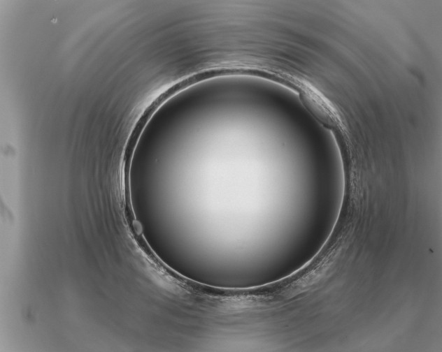 X0000091090988200708061633