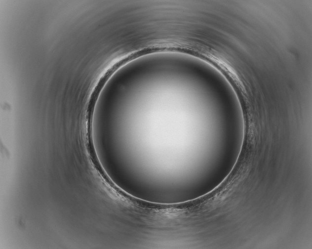 X0000091090992200708061633