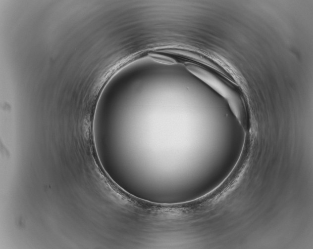 X0000091090993200708061633