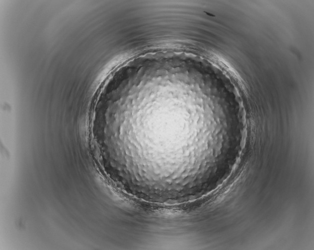 X0000091090994200708061633