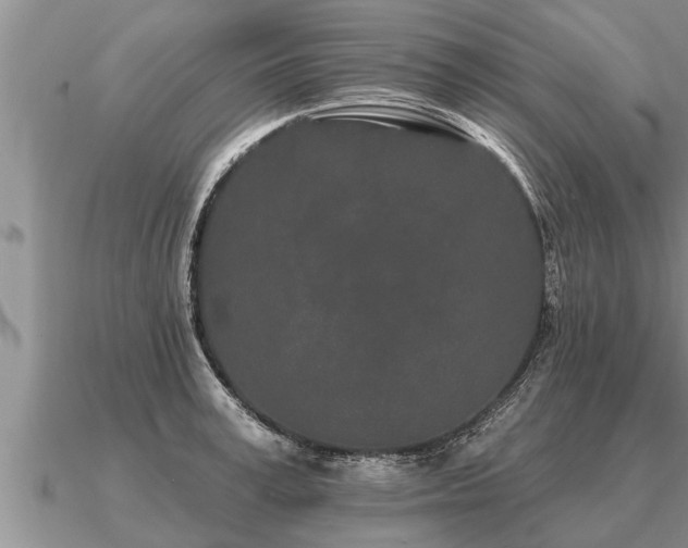 X0000091090995200708061633