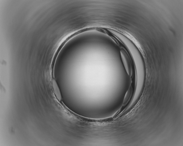 X0000091090996200708061633