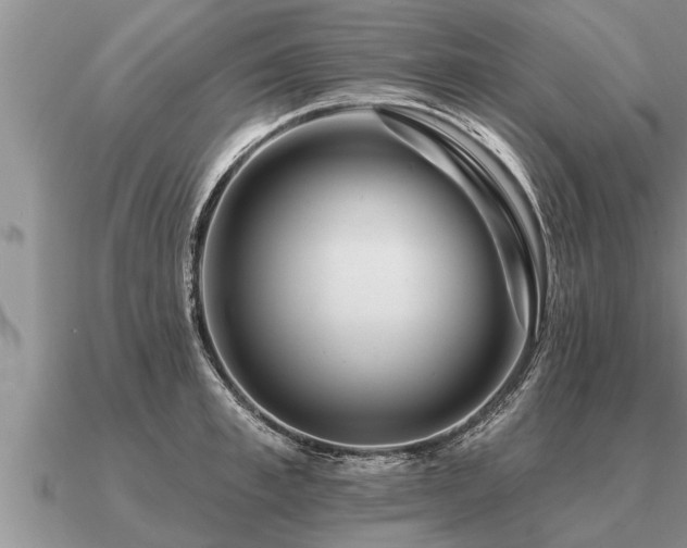 X0000091090997200708061633