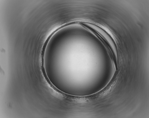 X0000091090999200708061633