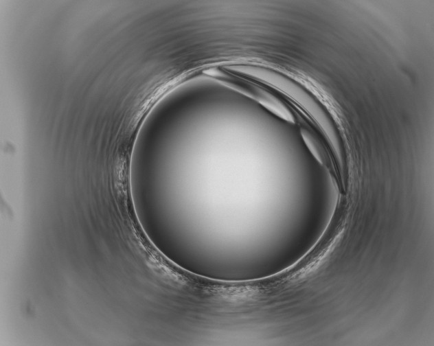 X0000091091001200708061633