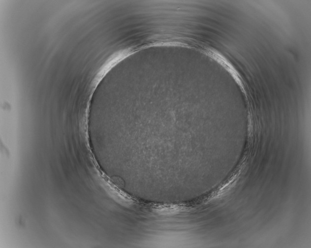 X0000091091002200708061633