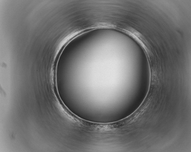 X0000091091003200708061633