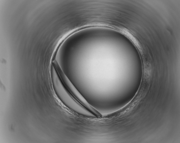 X0000091091004200708061633