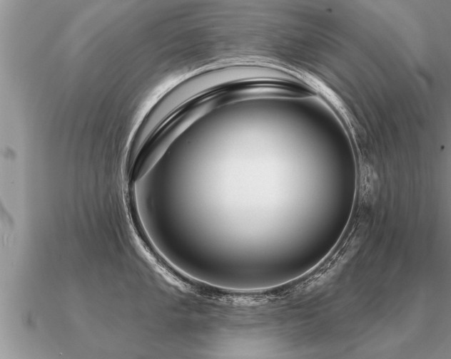 X0000091091005200708061633