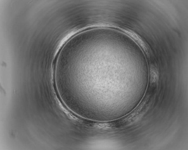 X0000091091006200708061633
