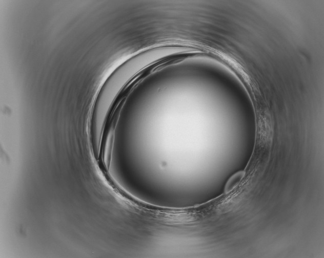 X0000091091007200708061633
