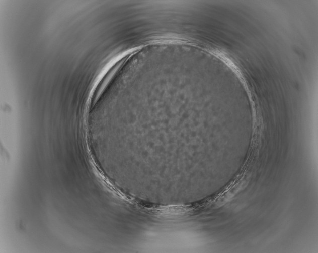 X0000091091008200708061633