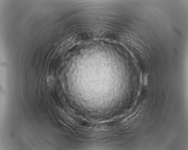 X0000091091011200708061632