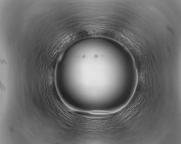 X0000091091012200708061632