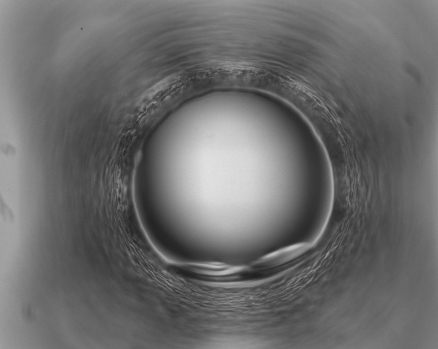 X0000091091013200708061632