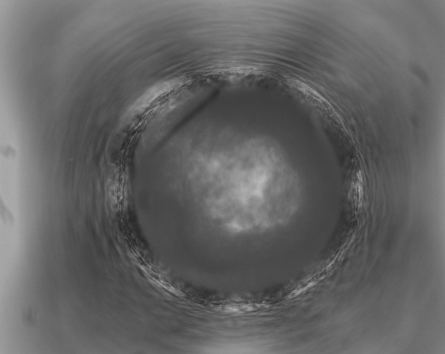 X0000091091014200708061632