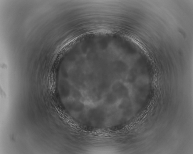 X0000091091015200708061632