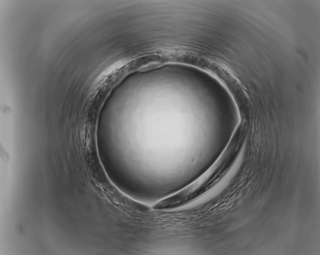 X0000091091016200708061632