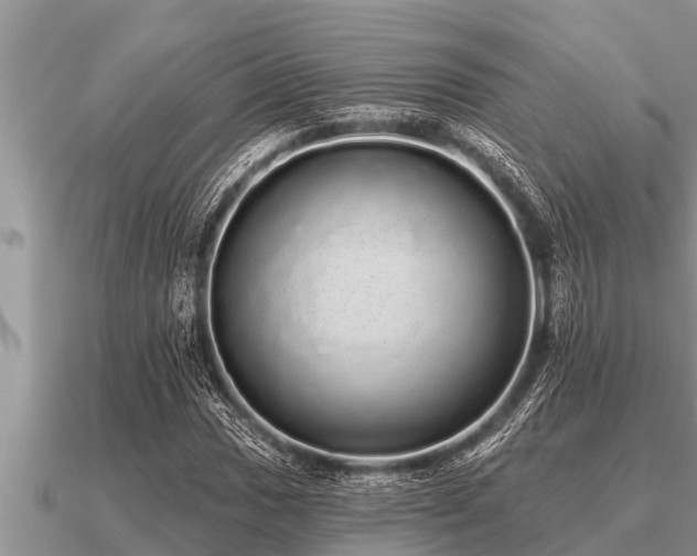 X0000091091017200708061632