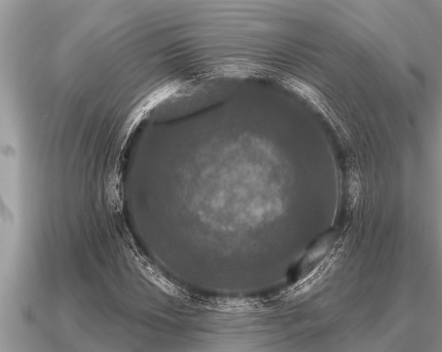 X0000091091018200708061632