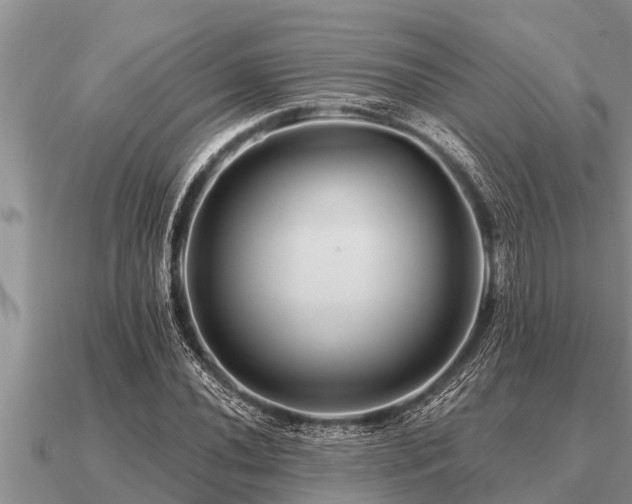 X0000091091020200708061632