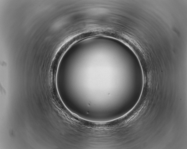 X0000091091021200708061632