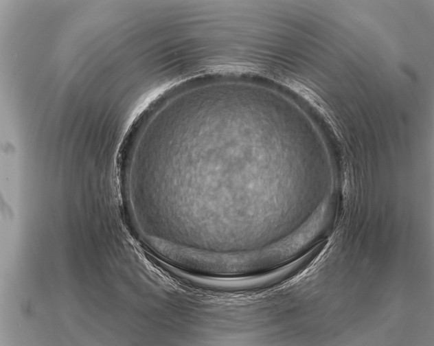 X0000091091022200708061632